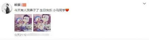 迪丽热巴谈帕托,迪丽热巴帕托现状