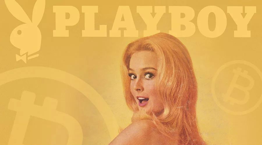 花花公子电视节目,花花公子电视频道直播