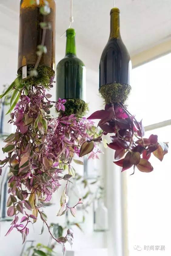 谁说“瓶”淡无奇？瓶子装饰家既美又实用~