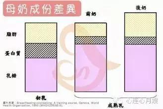 母乳的正常颜色是什么颜色,你的母乳充足吗