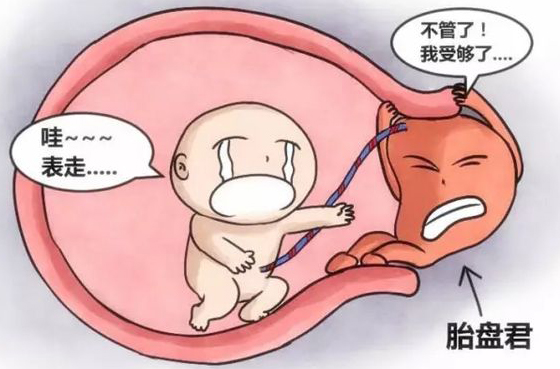 凶险性前置胎盘有多危险看一看吧,前置胎盘的预防方法和护理方法