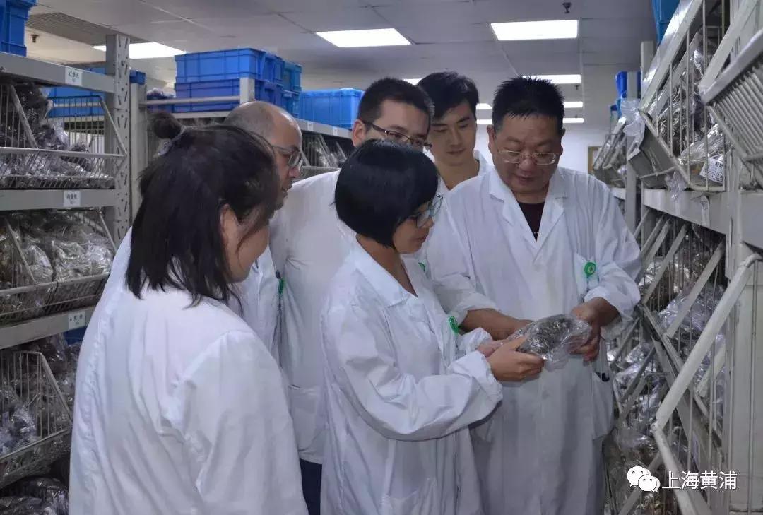 上海黄浦区名医韩龙惠,上海群力门诊部韩龙惠