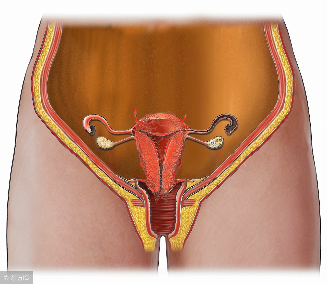 老年妇女子宫脱垂最好解决办法,子宫脱垂对老年女性有哪些危害