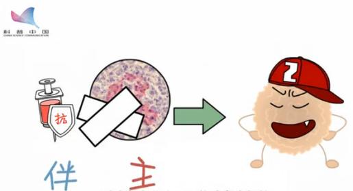 脐带干细胞治疗糖尿病神经病变,脐带干细胞治疗糖尿病效果好吗