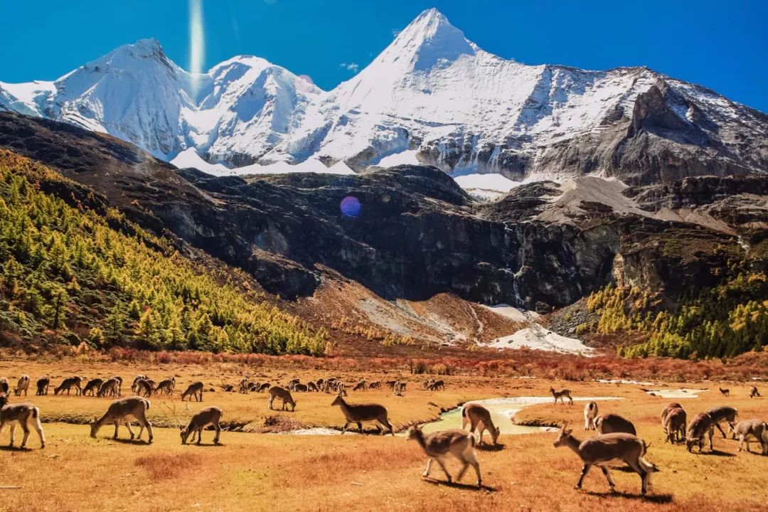 稻城亚丁攻略自由行大概多少钱,稻城亚丁怎么游玩