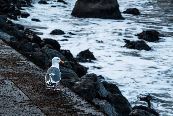 美西6000里:一趟旅行,女友成了前女友