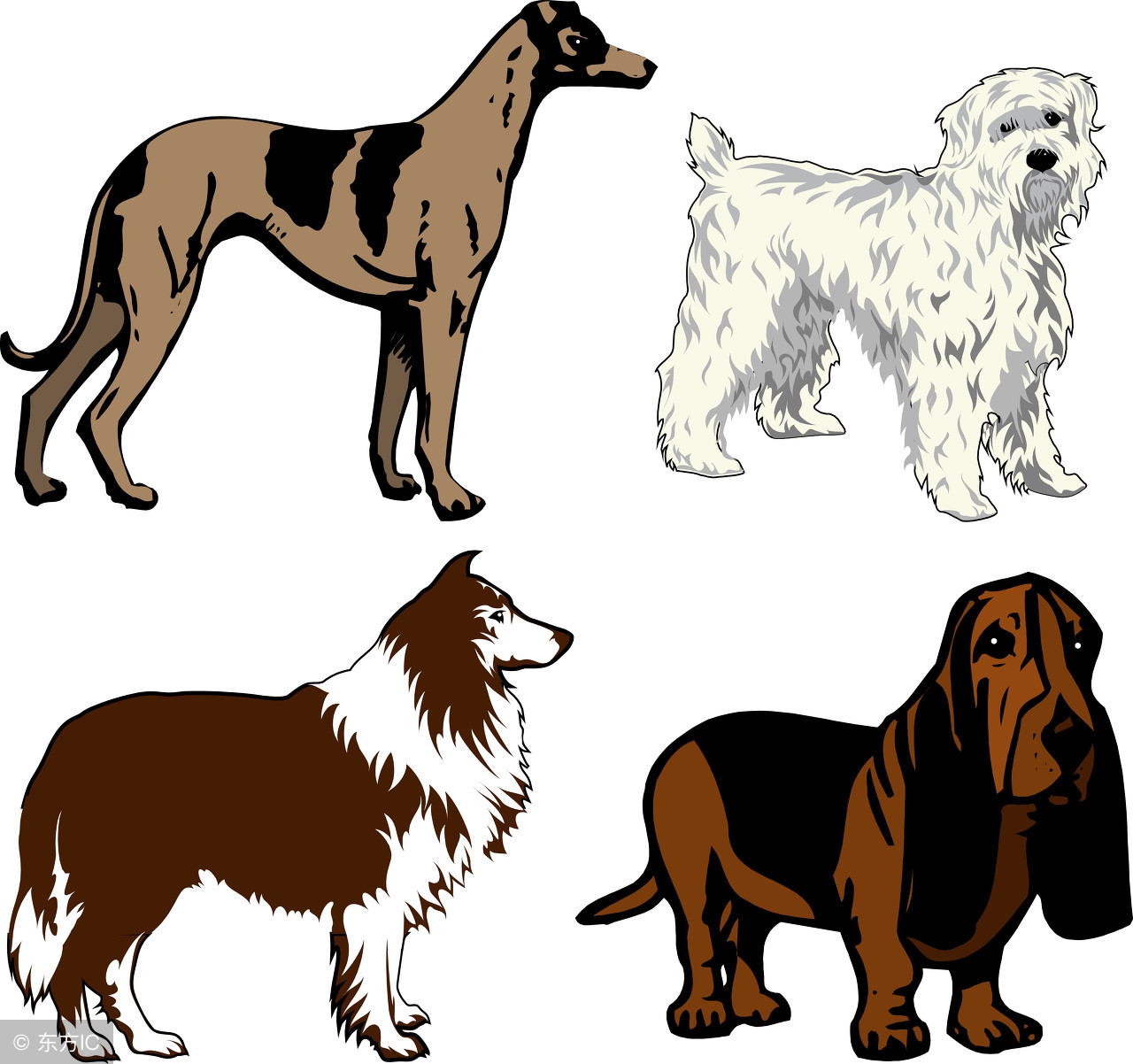 12生肖婚配歌诀老鼠兔子不成婚,民间流传12生肖婚配歌诀准的可怕