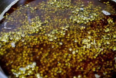 花椒油拌凉菜起到什么作用,花椒油凉拌面条