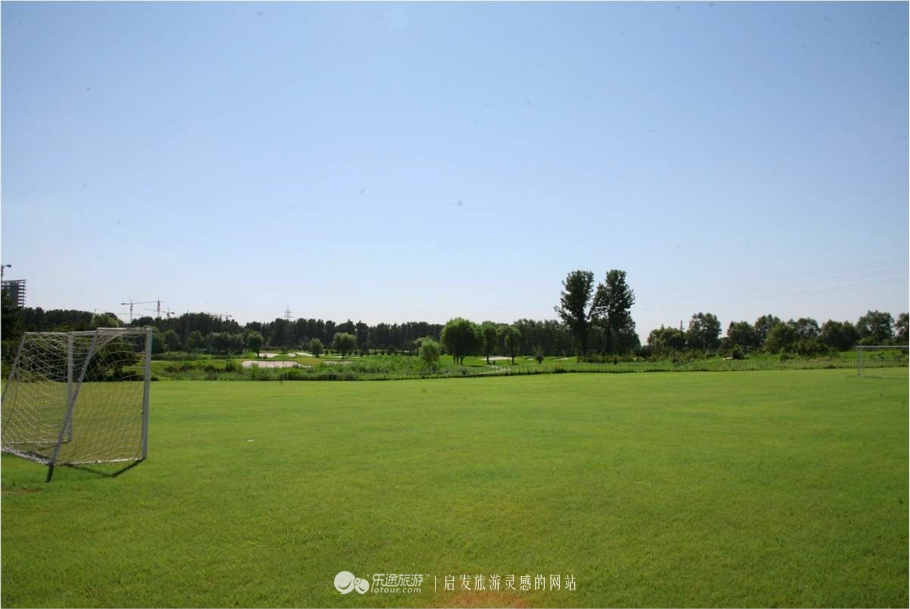 法兰西的至尊之梦