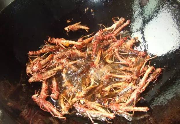 广西10大奇葩菜,广西特色暗黑料理