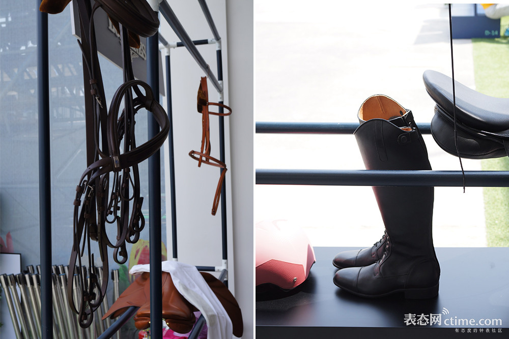 马术需要注意几个误区,观赏马有哪些