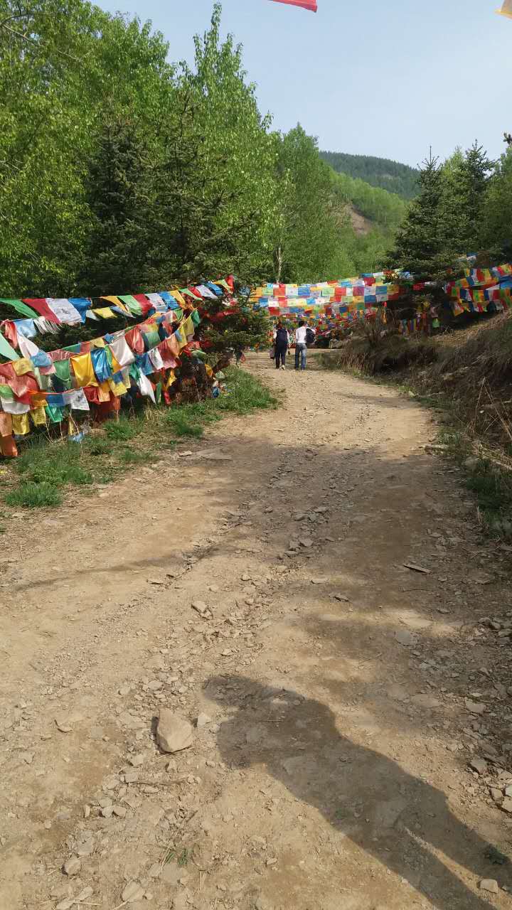 清凉山尸陀林,清凉寺尸陀林