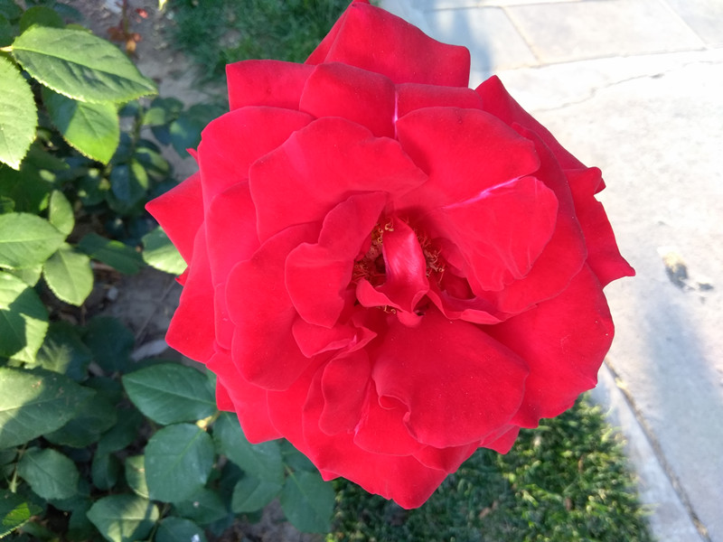 中国移动a2手机配置价格,中国移动发布手机性能测评