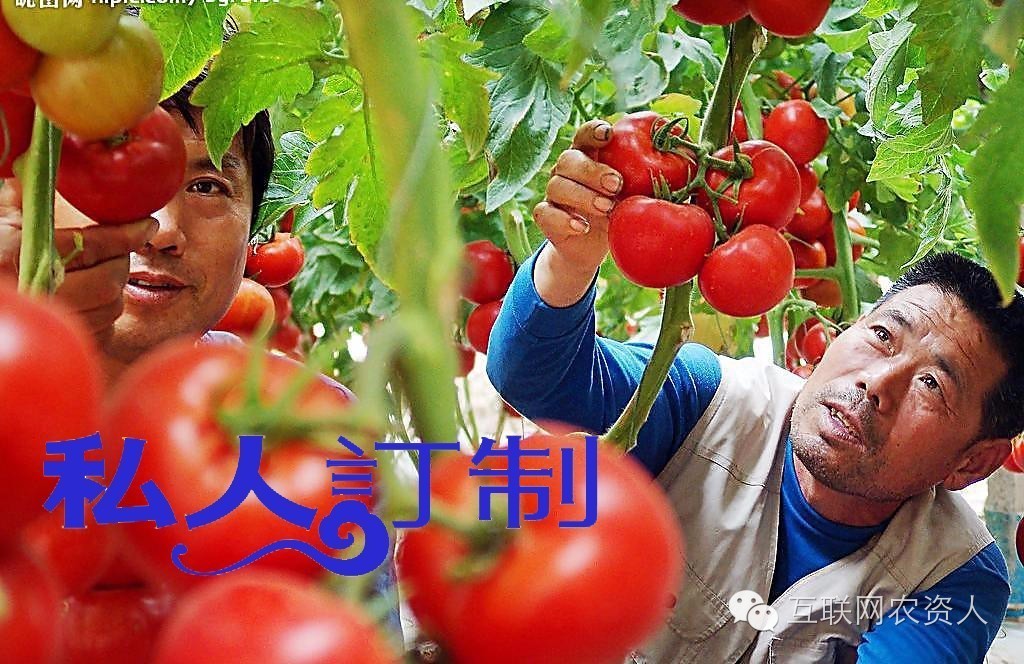 农业肥料私人订制模式,定制农业是啥