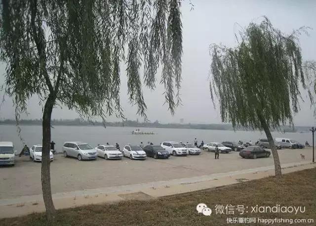 西安灞河钓鱼钓点,灞河路亚白条的钓点
