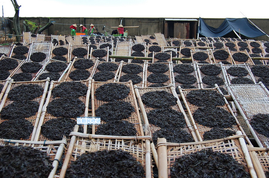 潮汕紫菜有多厉害,紫菜到底好不好