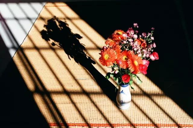 张小娴爱情时光,张小娴所有的相遇