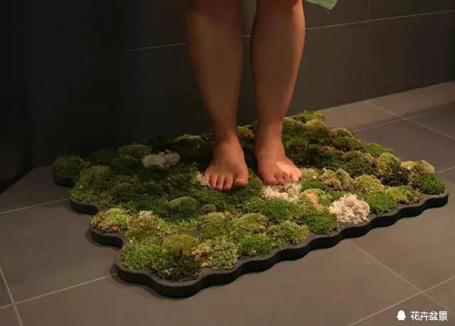 苔痕上阶绿草色入帘青妙在哪里,苔痕上阶绿草色入帘青全文