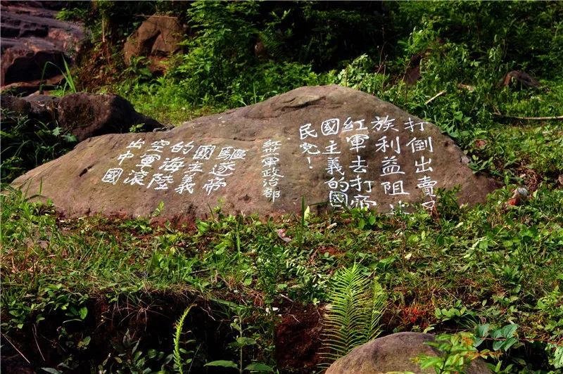 大开眼界和开阔视野,通江最新变化