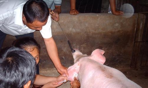 皮下静脉输液教学,皮下腹部注射的技巧