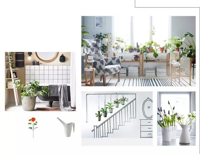 生活中的数字元素,无处不在的自然元素