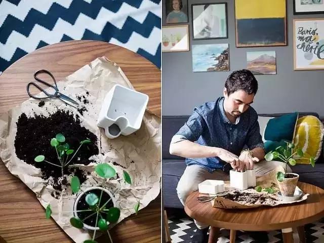 生活中的数字元素,无处不在的自然元素