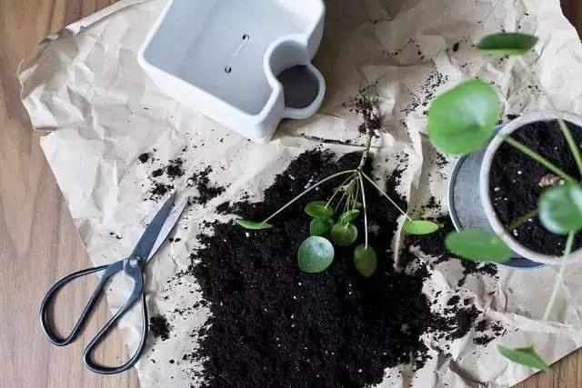 生活中的数字元素,无处不在的自然元素