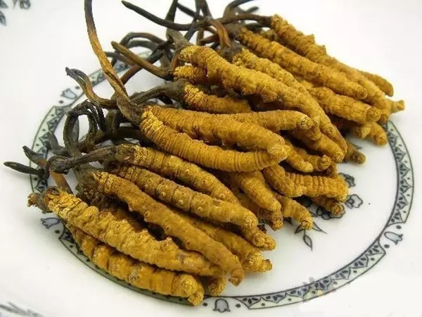 西宁旅游带什么特产回去最值 (西宁旅游带什么特产好)