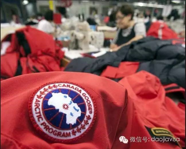 AllaboutCanadaGoose关于加拿大鹅的