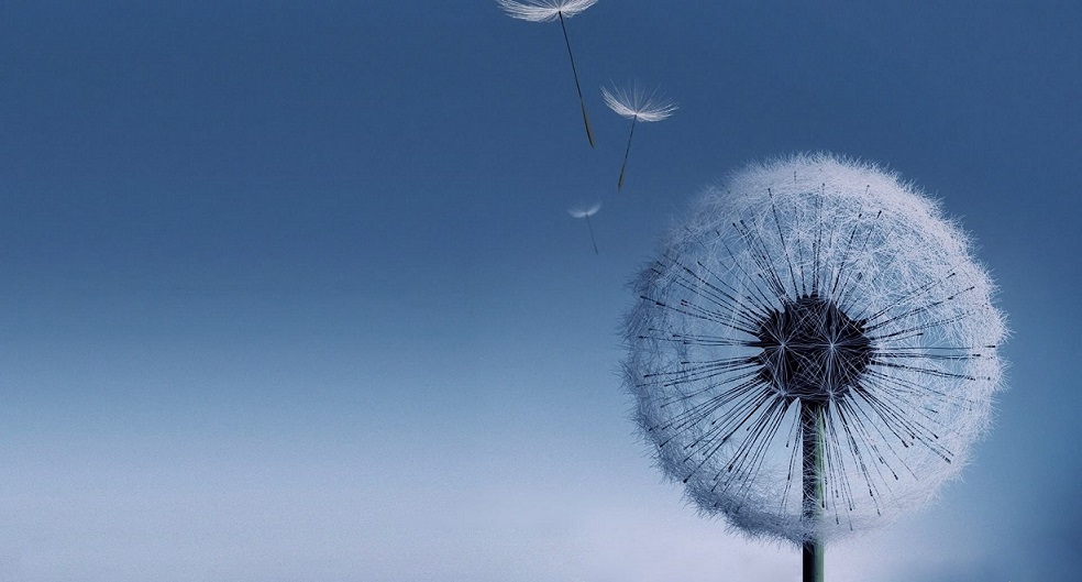 你们说这个手机配件花一千万上电视值不值？