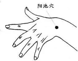 四大奇穴调全身,四大奇穴之突穴