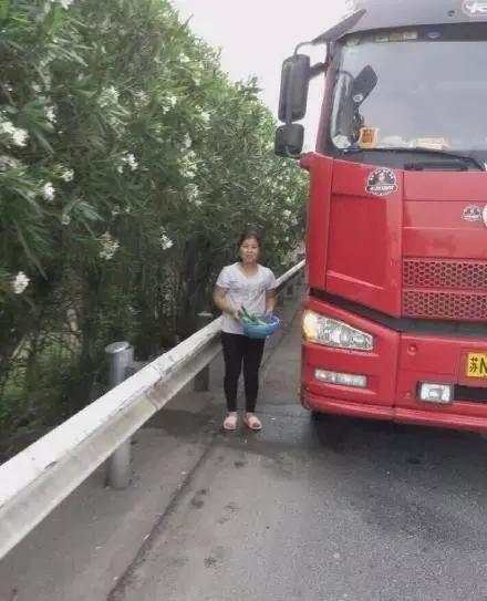 高考作文表情包和文体,高考万能作文图片