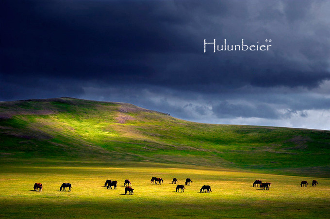 呼伦贝尔拍照攻略,呼伦贝尔美景拍照