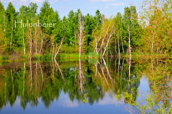 呼伦贝尔拍照攻略,呼伦贝尔美景拍照