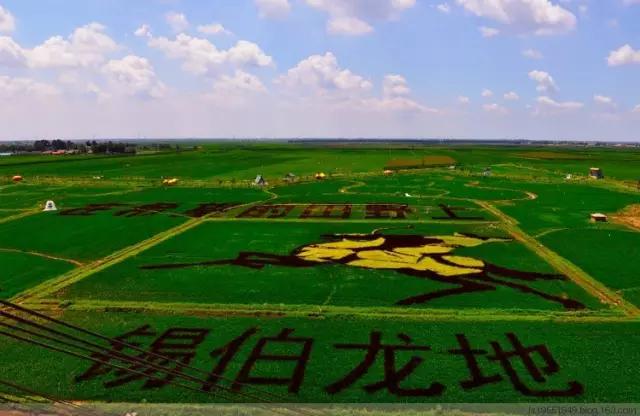 沈阳夏季夜晚游玩的地方,沈阳7月份适合旅游的地方