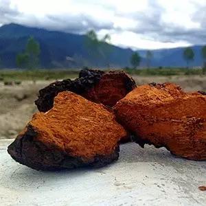 最好的降血糖药,降血糖最好的瓜子