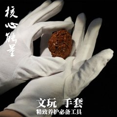 双氧水清理金刚菩提教程,金刚菩提子怎么清洁保养视频