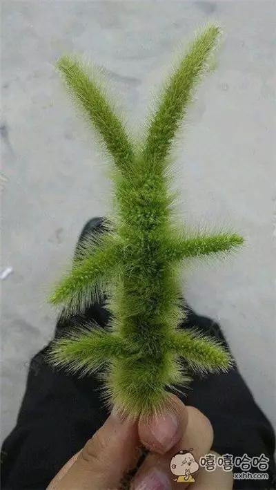 眼看着六一到了，你却超龄了！哈哈哈~