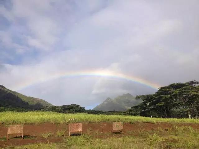 夏威夷和周冬雨,余文乐周冬雨夏威夷