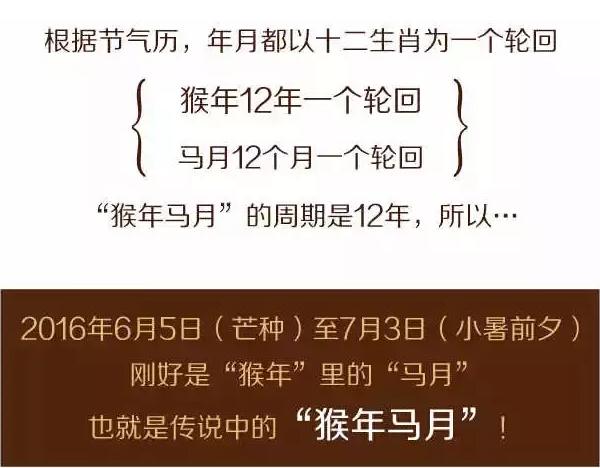 马年属猴的运程每月运程,生肖马猴年运势怎么样啊