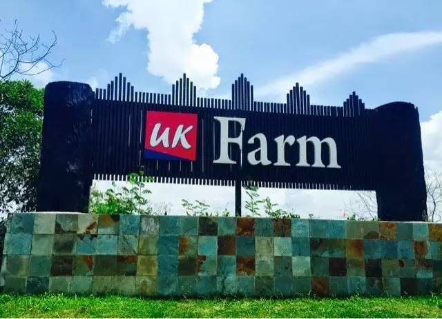 带娃游马来西亚带啥,去马来西亚适合带孩子去吗