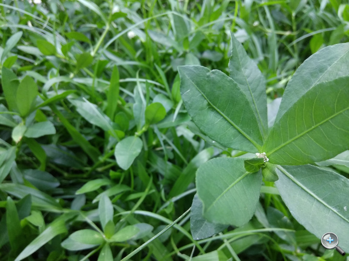 小米max评测视频,小米max86深度评测