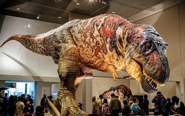 恐龙图片和名字介绍大全集 (儿童认识恐龙的名字和图片)