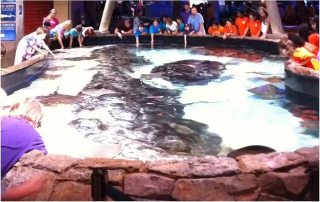 南昌万达城值不值得购买,南昌万达旅游城哪个区好