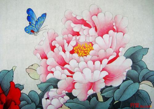 室内种什么招财最好,室内招财最好的方法