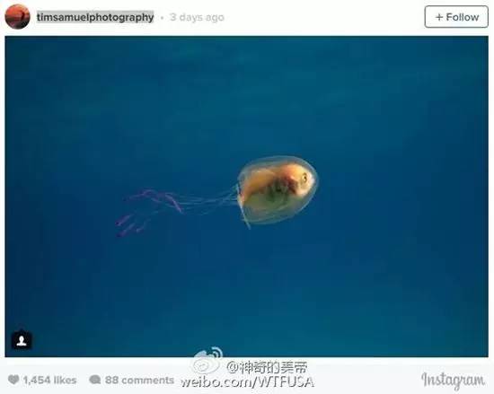 看魔兽视频,去看魔兽电影