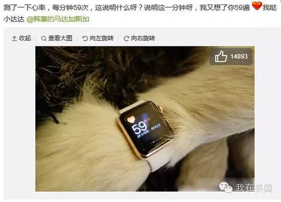 王思聪自曝女友为其堕胎又火了,但外媒只关心老公最宠的那个网红