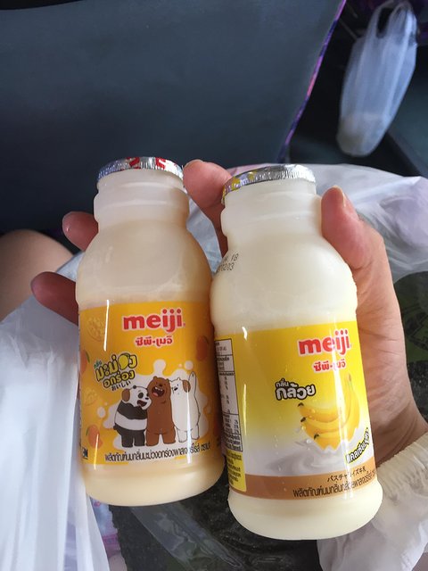 甯︾潃鐗涢瓟鐜嬬湅鏄熸槦,甯︾潃鐗涢瓟鐜嬪嚭鏉ョ湅涓婂笣