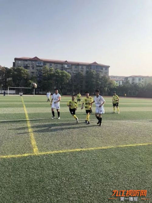 赛事报道｜骄阳如火激情胜火战绩不败金安会火