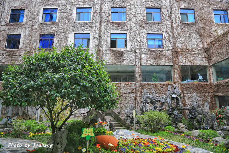 徽州水墨画哪里好玩,徽州赏花旅游